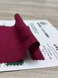 RN6003 Bio-Gaze ​​Grand Canyon Wild Wave[Textilgewebe] KOYAMA Sub-Foto