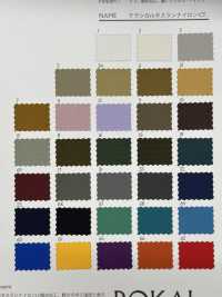 RR8821-CT Klassisches Taslan Nylon CT[Textilgewebe] ROKAL Sub-Foto