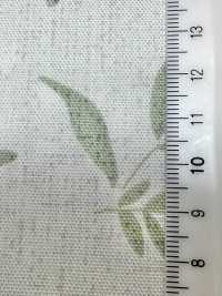 W8081 SEVENBERRY® Oxford Wide Width Harps[Textilgewebe] VANCET Sub-Foto