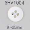 SHV1004 4-Loch-Muschelknopf