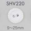 SHV220 2-Loch-Muschelknopf