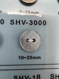 SHV3000 2-Loch Muschelknopf[Taste] DAIYA BUTTON(DAIYA BUTTON) Sub-Foto