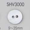 SHV3000 2-Loch-Muschelknopf