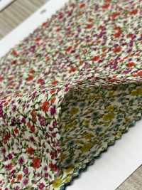 8025-680-4 80 Lawn Miracle Wave (Kleine Blume)[Textilgewebe] HOKKOH Sub-Foto