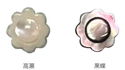 608 Blütenförmiger Muschelknopf