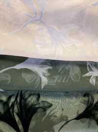 KF4005-DF-3407 Cremige Organza-Farbverlaufsbeflockung[Textilgewebe] Uni Textile(Komon Studio) Unterfoto