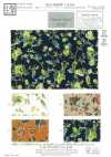 KCP808MW-DK-640 Baumwolle 80 Batist Miracle Wave Print