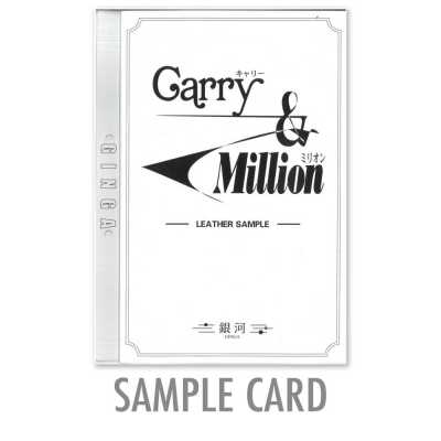 GINGA Musterkarte für Carry & Million