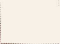 84385 Fester Leinen-ähnlicher Twill[Textilgewebe] Parika Unterfoto