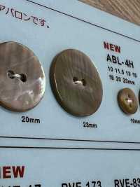 ABL2H 2- Muschel-Abalone-Muschelknopf[Taste] DAIYA BUTTON Sub-Foto