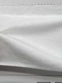 LY1602 TENCEL™Lyocellfasern Single Jersey[Textilgewebe] Nächste Stufe (SAWAMURA) Sub-Foto