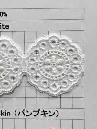 23660 Schmale Chemische Spitze Kyowa Lace Sub-Foto