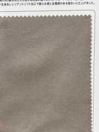 SPM-2068-RS Supima 80/2 // Oxford Resilient Soft[Textilgewebe] TIPICO (Kuwamura Textil) Sub-Foto