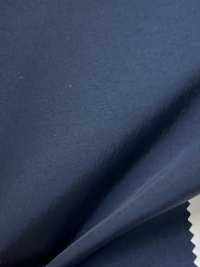 TP-724 Taft Aus Recyceltem Nylon[Textilgewebe] TIPICO (Kuwamura Textil) Sub-Foto