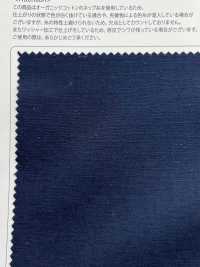 OGN-2048 Gewaschener Bio-Slub-Popeline[Textilgewebe] TIPICO (Kuwamura Textil) Sub-Foto