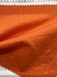 KKC606MW-D1 60 Rasen Wunderwelle[Textilgewebe] Uni Textile(Komon Studio) Sub-Foto