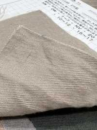 AZUMADAKI-71 Irish Linen Vintage Faded Twill, östlicher Stil[Textilgewebe] Komatsuwa Textile Sub-Foto