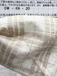 AZUMADAKI-119 Bio-Baumwolle Dobby Check Eastern Cooking Process[Textilgewebe] Komatsuwa Textile Sub-Foto