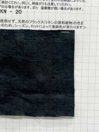 AZUMADAKI-121 Bio-Baumwolle Dobby Check Eastern Cooking Process[Textilgewebe] Komatsuwa Textile Sub-Foto