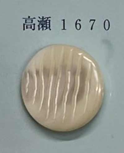 1670 Randloser Takase-Muschelknopf