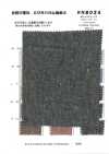 RN8024 Leinen Seide Canvas Platt Airin