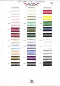 1250 Rand Satin Organza[Bandbandschnur] UNITED RIBBONS Sub-Foto