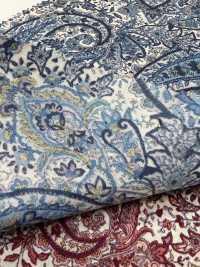 4025-1670-4 60 Rasen Paisley[Textilgewebe] HOKKOH Sub-Foto