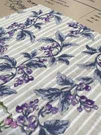 850505 SEVENBERRY® Lawn Soleil Berry Stripe[Textilgewebe] VANCET Sub-Foto