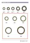 RING-3 Flachring