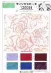 120088 Prinzessin Rose