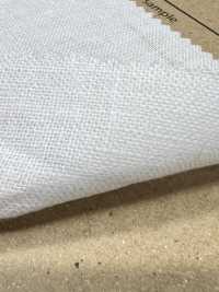 AD5182 Leinen-Canvas[Textilgewebe] COSMO TEXTILE Sub-Foto