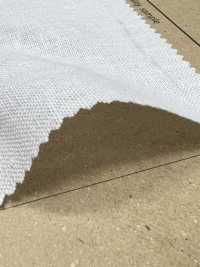 AD5182 Leinen-Canvas[Textilgewebe] COSMO TEXTILE Sub-Foto