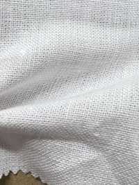 AD5182 Leinen-Canvas[Textilgewebe] COSMO TEXTILE Sub-Foto