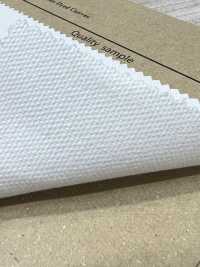 AD8310 Nr. 8 Leinwand[Textilgewebe] COSMO TEXTILE Sub-Foto
