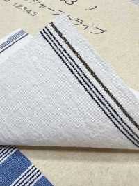 BC3543 Voile-Streifen[Textilgewebe] COSMO TEXTILE Sub-Foto