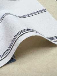 BC3543 Voile-Streifen[Textilgewebe] COSMO TEXTILE Sub-Foto