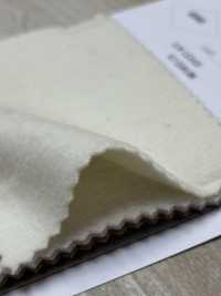 80660 SP100 Ausgezeichneter Biber[Textilgewebe] Parika Sub-Foto