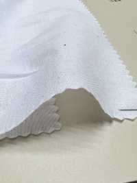 INDIA-484 60/1 Rasen[Textilgewebe] ARINOBE Sub-Foto