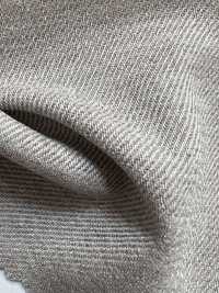 TME-0518 ÜBER DEM LEINEN // LEINENÄHNLICHER TWILL[Textilgewebe] SASAKISELLM Sub-Foto