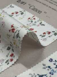 850523 SEVENBERRY® Breittuch Breit Baumwolle Antik Di Canon[Textilgewebe] VANCET Sub-Foto