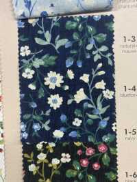 850525 SEVENBERRY® Breittuch Breit Baumwolle Antique Day Berry Field[Textilgewebe] VANCET Sub-Foto