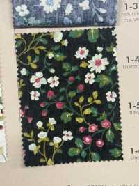 850525 SEVENBERRY® Breittuch Breit Baumwolle Antique Day Berry Field[Textilgewebe] VANCET Sub-Foto