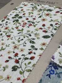 850525 SEVENBERRY® Breittuch Breit Baumwolle Antique Day Berry Field[Textilgewebe] VANCET Sub-Foto