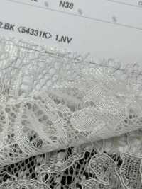 54331K Beide Gelehrten Cord Raschel[Textilgewebe] Parika Sub-Foto