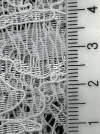 54331K Beide Gelehrten Cord Raschel[Textilgewebe] Parika Sub-Foto