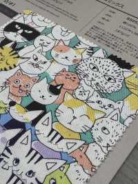 850536 SEVENBERRY® Oxford Ungebleichte Baumwolle Nyan Comics[Textilgewebe] VANCET Sub-Foto