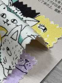 850536 SEVENBERRY® Oxford Ungebleichte Baumwolle Nyan Comics[Textilgewebe] VANCET Sub-Foto