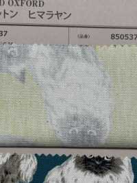 850537 SEVENBERRY® Ungebleichte Oxford-Baumwolle Himalaya[Textilgewebe] VANCET Sub-Foto