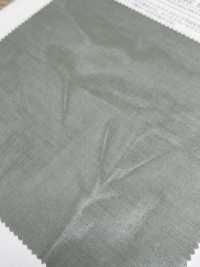 KKC134HOG-W 100/2 Baumwoll-Voile, Harter Organza, Verarbeitet, Große Breite[Textilgewebe] Uni Textile(Komon Studio) Sub-Foto