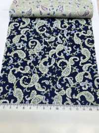 3026-650-7 60 Rasen Paisley[Textilgewebe] HOKKOH Sub-Foto